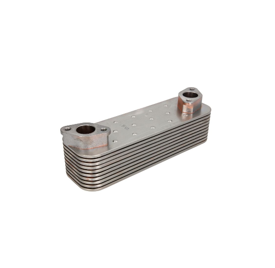 Oil Radiator (Heat Exchanger) Man Tgx/tgs/tga D2066 250*78*61Mm