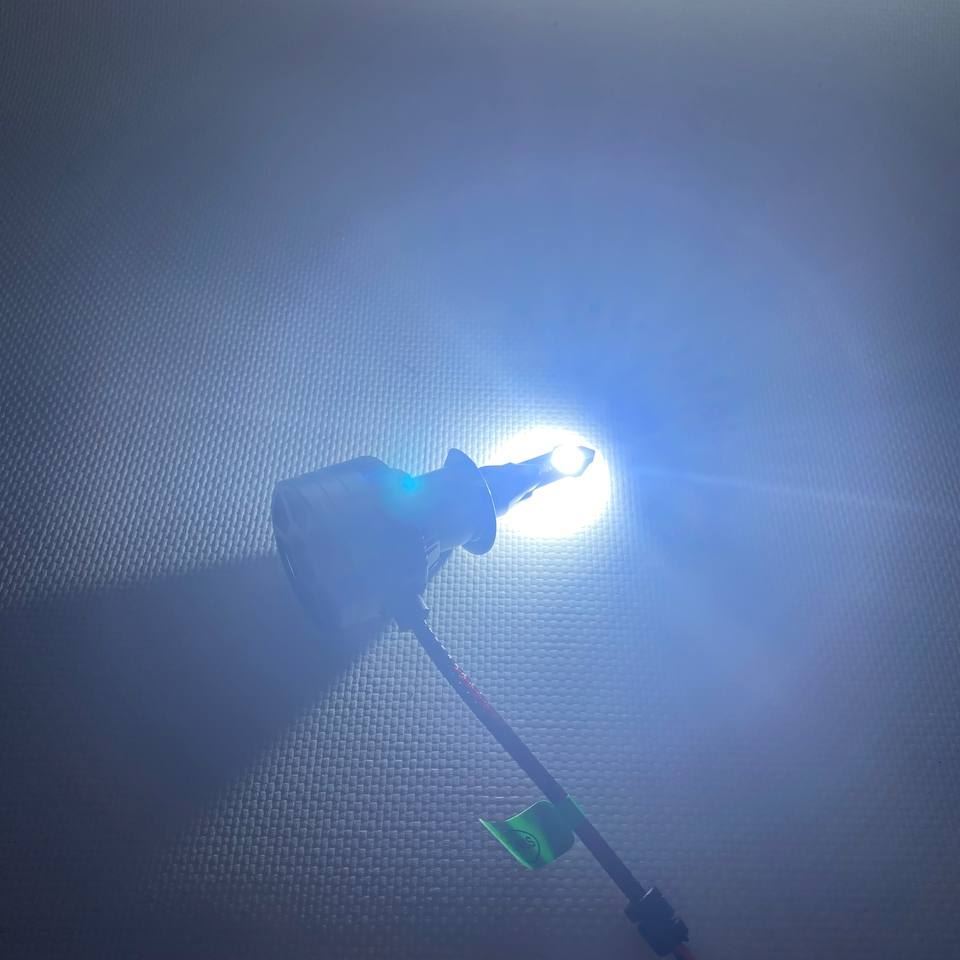 Лампочка  H1 (LED)